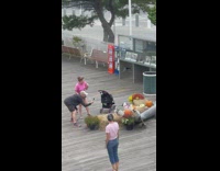 Two pet dogs sits on the Halloween decoration at the dock