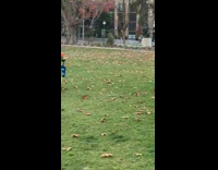 Two girls dance while holding signs park 