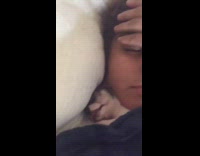 Collab Copyright Protection - dogig puppy in cast