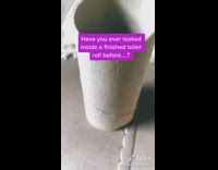 Girl looks cat through toilet paper roll 