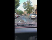 Pigeon sits on windshield of car 