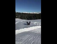 Guy hoodie jacket dive in thick snow