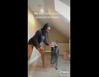 Woman pranks dog pretends to be frozen