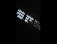 Pet cat outside house sit beside window