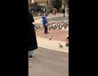 Boy in blue jacket puts pigeon in pocket 