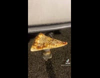 White car with pizza tow hook 
