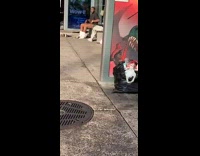 Man pulls down underwear and sits on bench with bare butt at bus stop