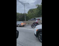 Motorcycle driver wears panda helmet
