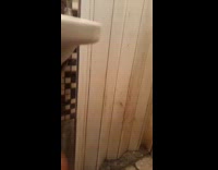 Guy closes folded door then dog bursts it open