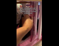 Cat hiding in barbie house