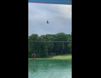 Man Flies as Friends Jump on Inflated Floater