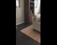 Golden retriever dog carries plaid pajamas in mouth