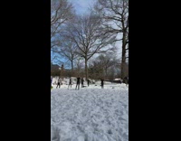 People at park practice martial arts snow