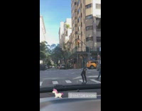 Person in unicorn costume walks across street 