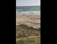 guy running in the sand and doing a flip and then falling 