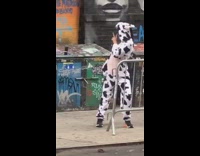 Girl cow onesie poses sidewalk blue dumpster 