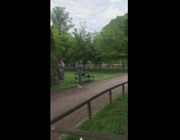 Two women hair flip rose bush park