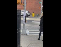 Fashionable Blonde Lady Takes Selfie Besides Crosswalk
