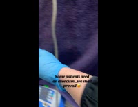 Cat cage covered angry vet