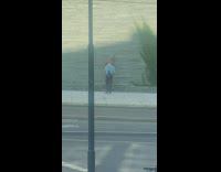 Old man muscled photo shoot sidewalk bushes