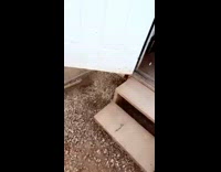 Dust Tornado comes through the filmers position