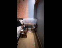 Woman has box organizer as toads enclosure