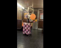 Woman wearing glittery gold dress and mickey mouse mascot head 