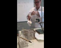 Chemistry teacher lab experiment sparks firework sparklers   