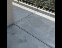 Collab Pets For All - Golden retriever dog yellow fish costume hat 