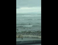 Guy surf boarding in full dive gear