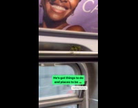 Collab Subway Creatures - Grasshopper ride on train metal  bar handrails