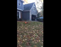 Ball got overinflated with air explode on yard