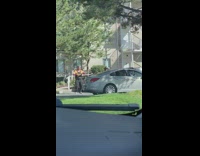 Guys WAP dance run car call police