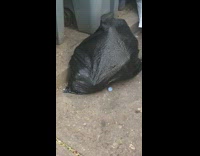 Black trash bag on ground moves pt. 2 
