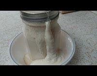 Sourdough bread starter leaks out of jar 