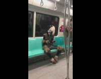 Guy wears a cat costume on subway