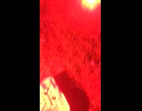 Firework pops on box at beach at night 