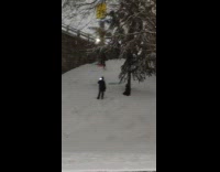 Guy rides sled down hill rolls over