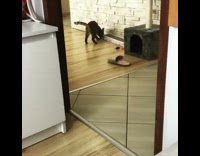 Girl and cat play fetch green mouse 