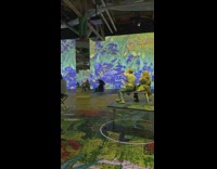 Woman in black dress with an umbrella at the exhibit Part 1