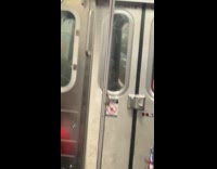 Rat climbs the pole inside subway train