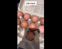 Collab BitchIG2 - Life hack to separate eggs with brown bread