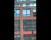 Collab WINY - Silicone head masks displayed on building window 