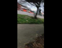 Baby doll head hits car 