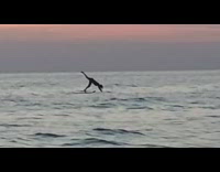 Girl silhouette surfboard yoga fall water fails