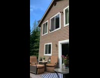 Cat about to jump out window