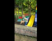 Daughters and two brown puppies yellow slide part 2