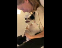 Dog weird growl while held by woman