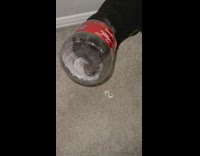 Black dog with head stuck inside of plastic jar 