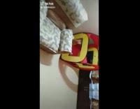 Brown cat random things compilation curtain rod 